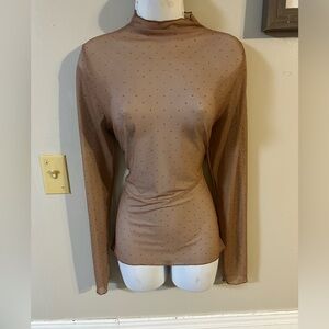 Sheer Brown Long Sleeve Top